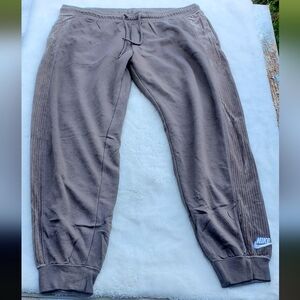 Nike Taupe  Jogger Pants Size XL Petite